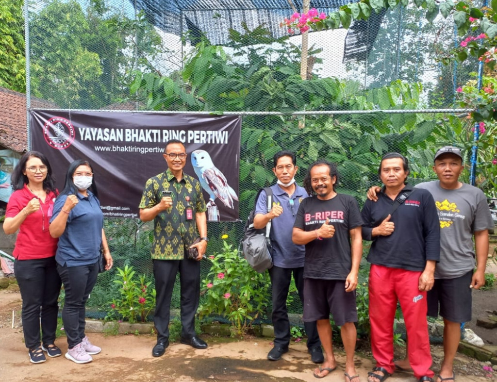 DINAS PERTANIAN DAN PANGAN KABUPATEN BADUNG MENJAJAKI PEMANFAATAN BURUNG HANTU JENIS TYTO ALBA  UNTUK PENGENDALIAN HAMA TIKUS